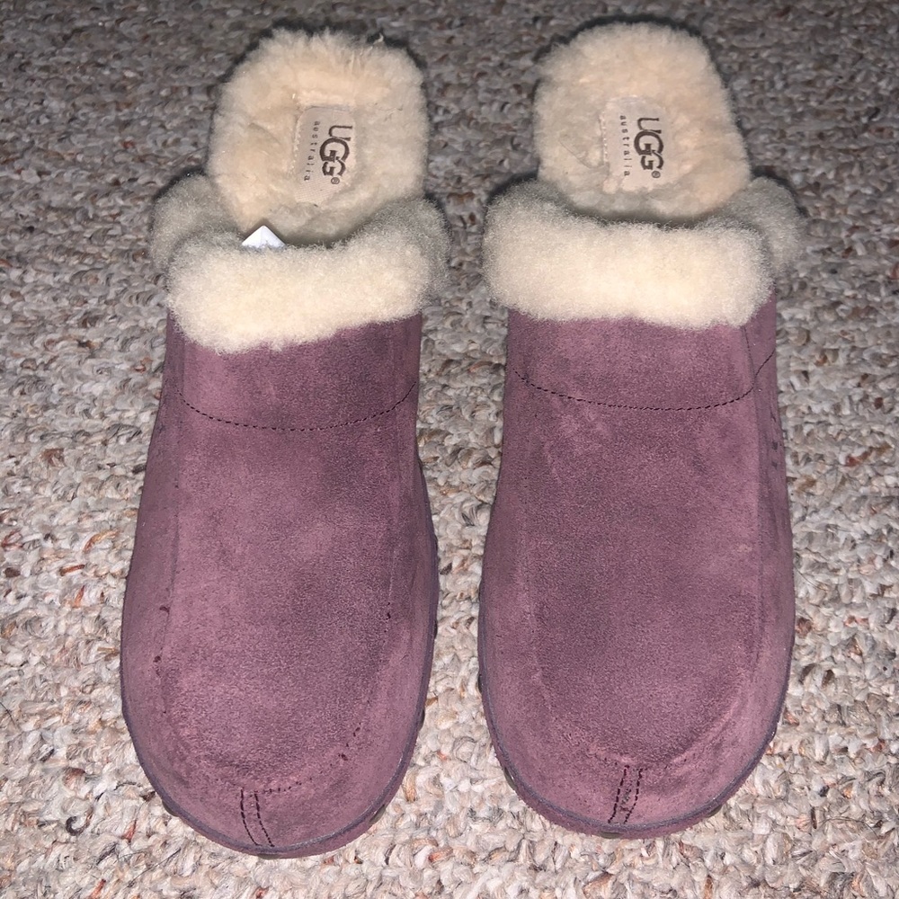Ugg clogs